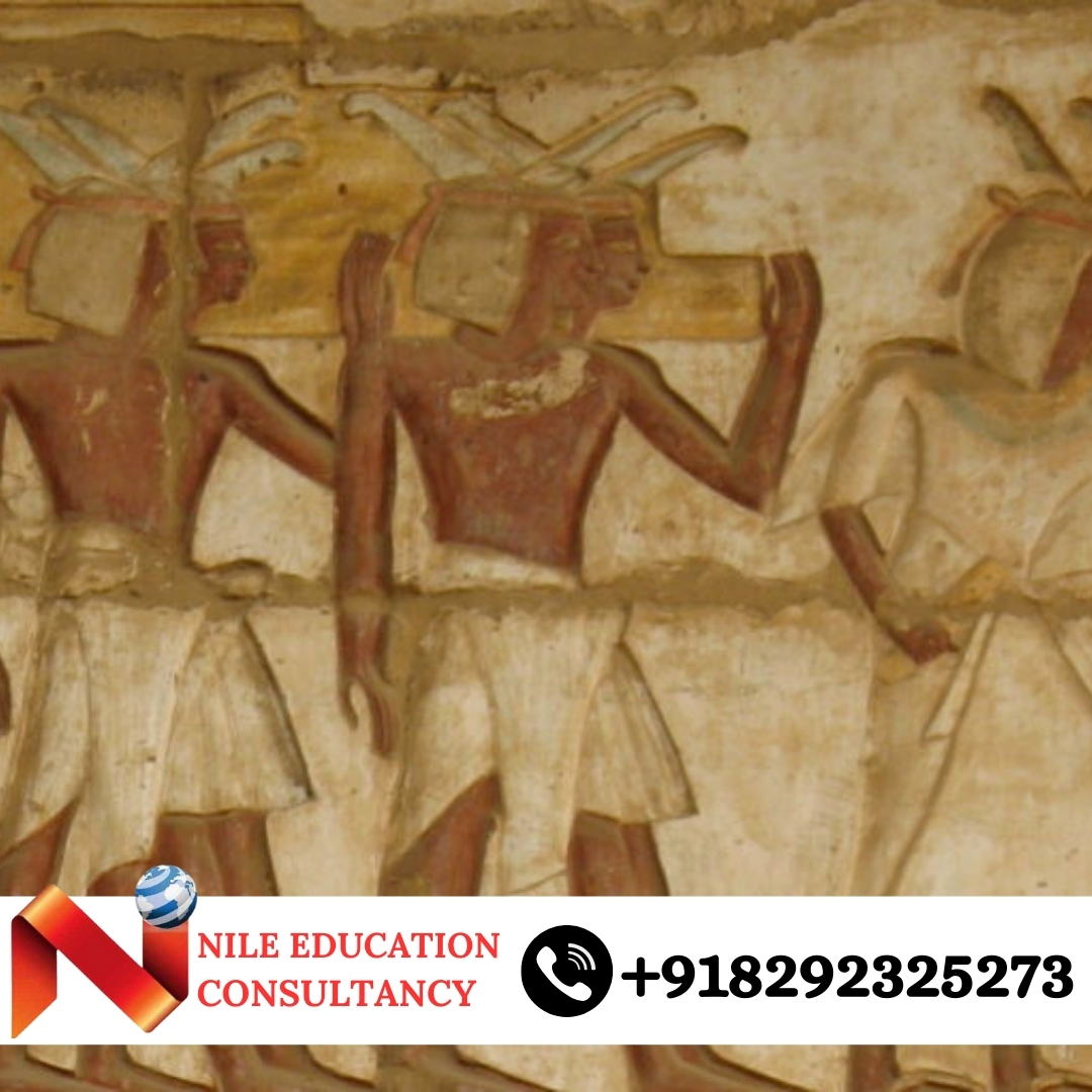 Tanta University Faculty of Medicine Lab